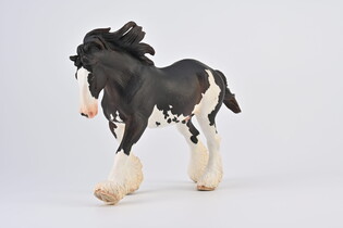 COLLECTA OGIER CLYDESDALE MAŚCI BLACK SABINO 4