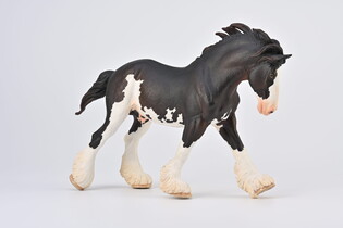 COLLECTA OGIER CLYDESDALE MAŚCI BLACK SABINO 5
