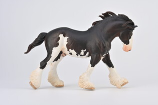 COLLECTA OGIER CLYDESDALE MAŚCI BLACK SABINO 6