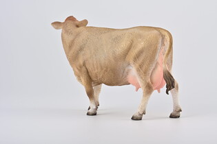 COLLECTA KROWA 5