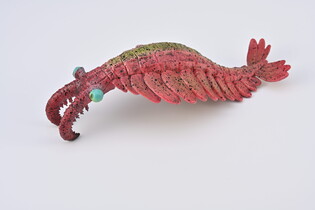 COLLECTA ANOMALOCARIS 3