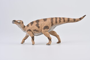 COLLECTA BRIGHTSTONEUS 3