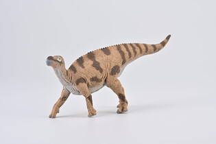 COLLECTA BRIGHTSTONEUS 4