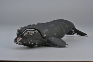 COLLECTA WALEŃ 3