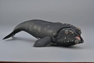 COLLECTA WALEŃ 4
