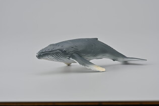 COLLECTA HUMBAK MŁODY 3
