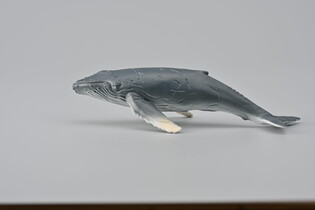 COLLECTA HUMBAK MŁODY 4