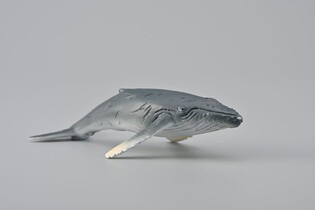 COLLECTA HUMBAK MŁODY 5