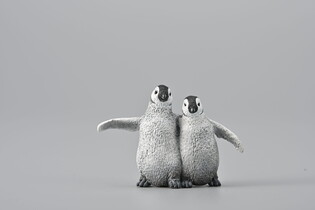 COLLECTA PINGWIN CESARSKI MŁODE 3