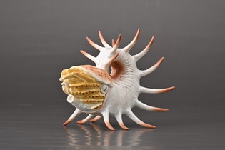 COLLECTA COOPEROCERAS
 3