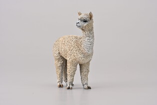 COLLECTA  ALPAKA 3