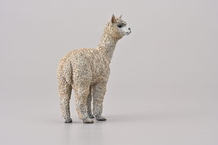 COLLECTA  ALPAKA 5