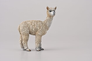 COLLECTA  ALPAKA 6