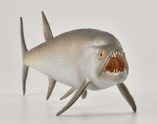 COLLECTA  WYMARŁA RYBA XIPHACTINUS 3