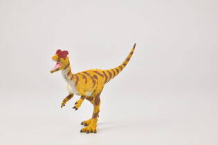 COLLECTA DINOZAUR DILOFOZAUR SKALA 1:40 3