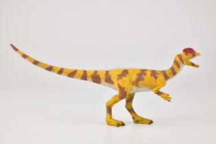 COLLECTA DINOZAUR DILOFOZAUR SKALA 1:40 5