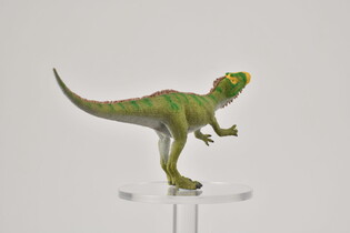 COLLECTA DINOZAUR NEOVENATOR TROPIĄCY OFIARĘ 4