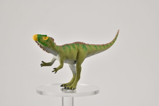 COLLECTA DINOZAUR NEOVENATOR TROPIĄCY OFIARĘ 5