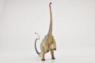 COLLECTA DINOZAUR DIPLODOK 4
