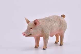 COLLECTA KNUR 3
