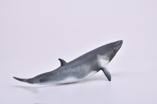 COLLECTA PŁETWAL KARŁOWATY 4