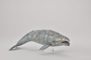 COLLECTA PŁYWACZ SZARY 6
