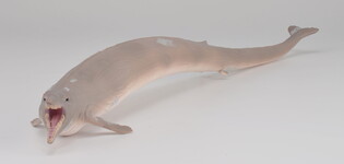 COLLECTA BAZYLOZAUR 4