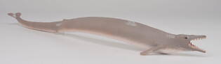 COLLECTA BAZYLOZAUR 5