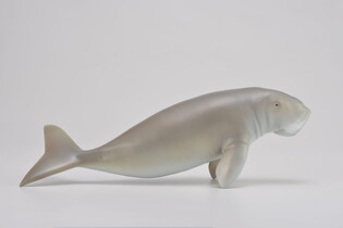 COLLECTA DIUGOŃ PRZYBRZEŻNY 3