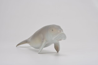 COLLECTA DIUGOŃ PRZYBRZEŻNY 4