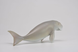 COLLECTA DIUGOŃ PRZYBRZEŻNY 6