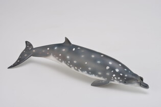 COLLECTA DZIOBOWAL ZWARTOPYSKI 3