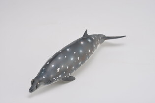 COLLECTA DZIOBOWAL ZWARTOPYSKI 4