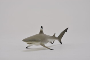 COLLECTA ŻARŁACZ RAFOWY CZARNOPŁETWY 3