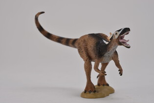COLLECTA DINOZAUR XIONGGUANLONG 4