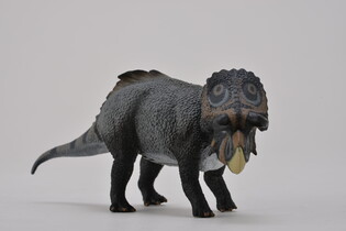 COLLECTA DINOZAUR NASUTOCERATOPS 4