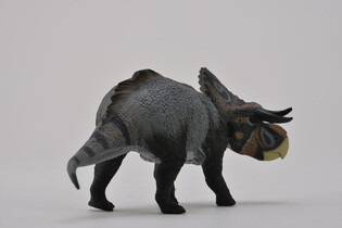 COLLECTA DINOZAUR NASUTOCERATOPS 5