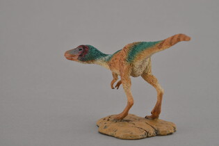 COLLECTA DINOZAUR TYRANOZAUR REX MŁODY 5