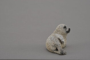 COLLECTA MŁODA FOKA PSTRA 5