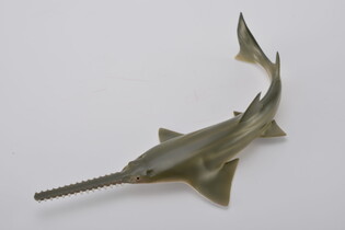 COLLECTA REKIN PIŁA 3