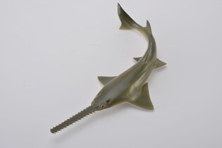 COLLECTA REKIN PIŁA 4