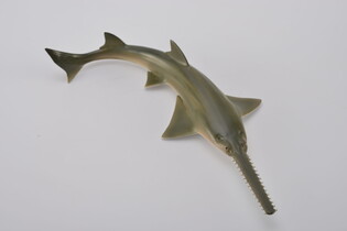COLLECTA REKIN PIŁA 5