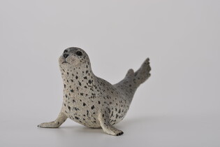 COLLECTA FOKA PSTRA 4