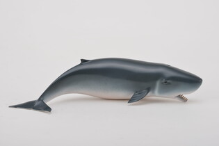 COLLECTA MŁODY KASZALOT 3