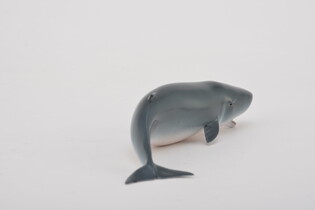 COLLECTA MŁODY KASZALOT 4