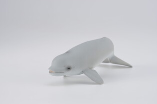 COLLECTA MŁODY WIELORYB BELUGA 3
