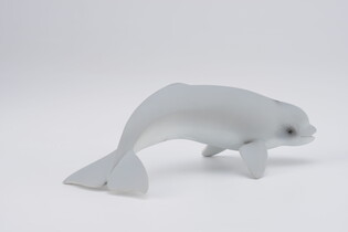 COLLECTA MŁODY WIELORYB BELUGA 4