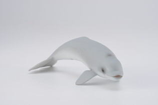 COLLECTA MŁODY WIELORYB BELUGA 5