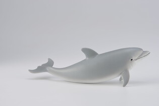 COLLECTA DELFIN BUTLONOSY MŁODE 4