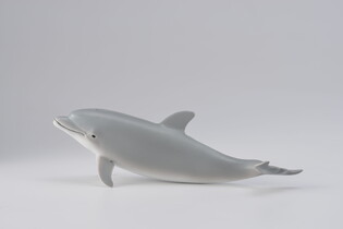 COLLECTA DELFIN BUTLONOSY MŁODE 6